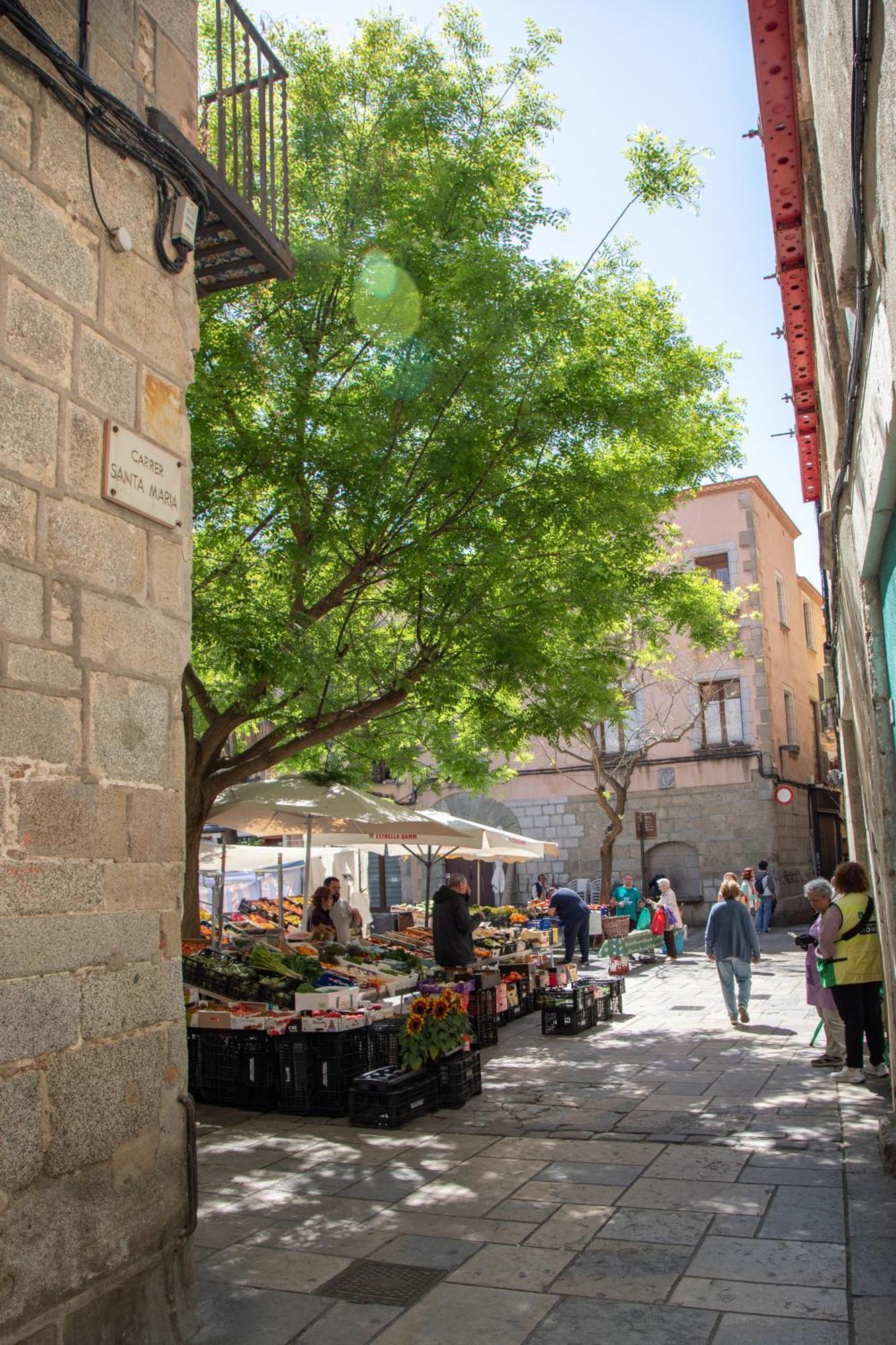 New Colon Mataró